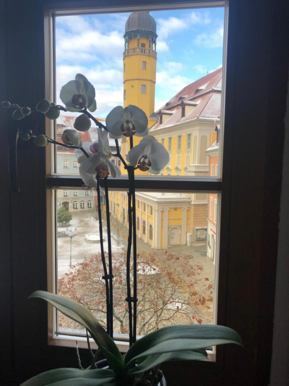 Zum Handtuch Bautzen Luaran gambar